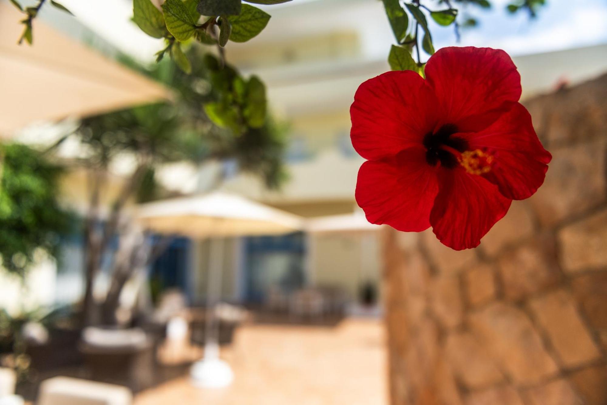Hotel Baia Turchese Lampedusa Exterior photo